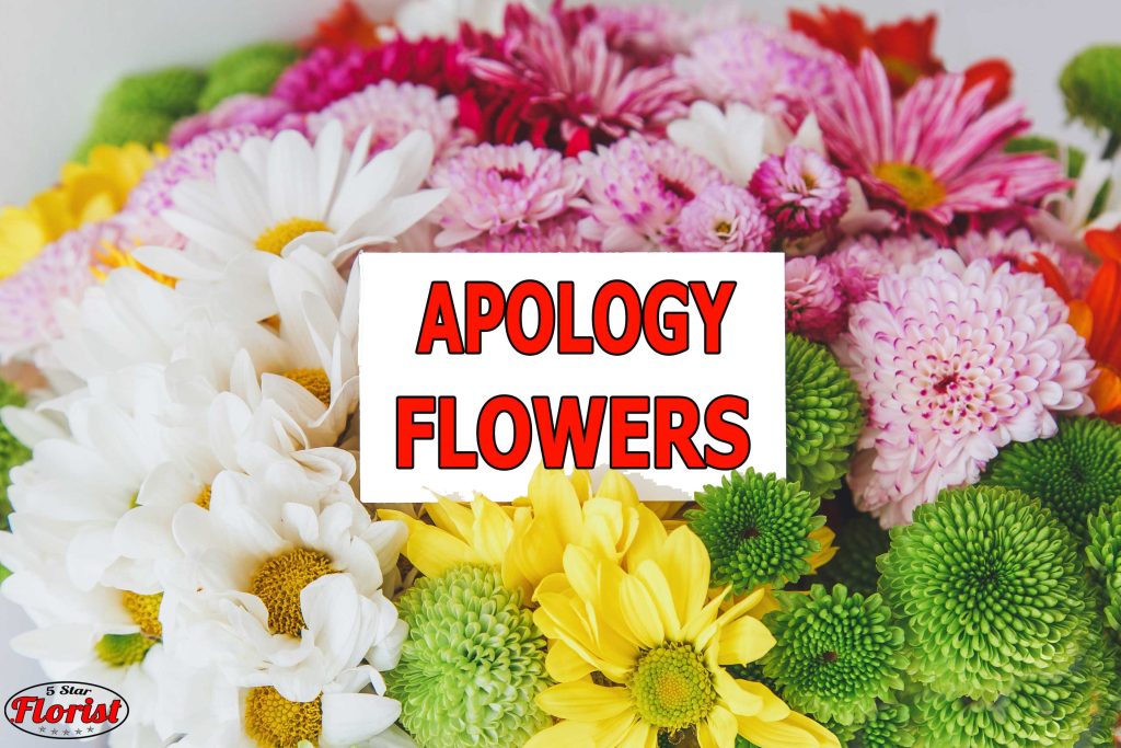 apology flowers Omaha